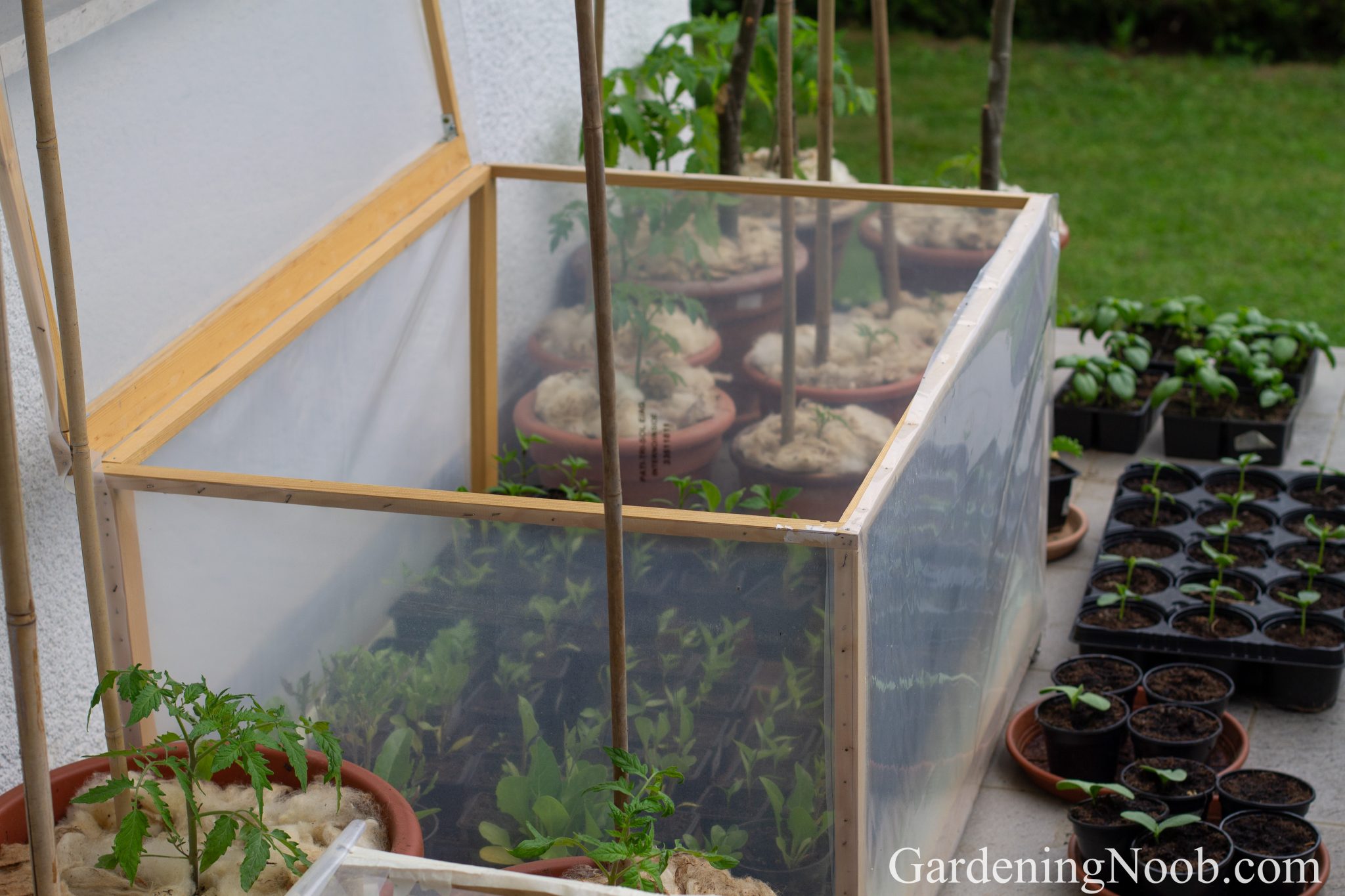 Miniature Greenhouses As Cold Protection For Vegetable Plants